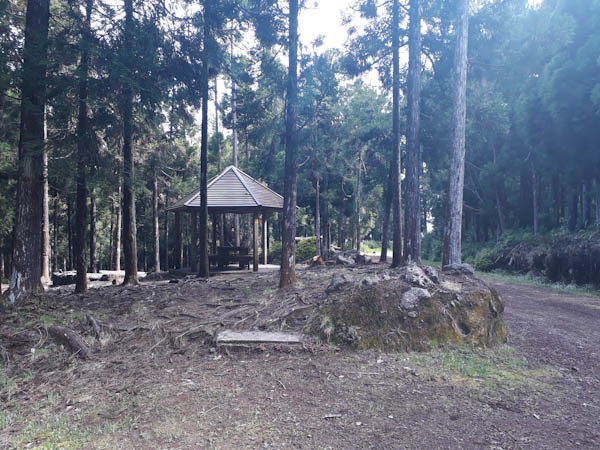 Plaine des Palmistes   –   Cabris Haut – Aire de pique-nique