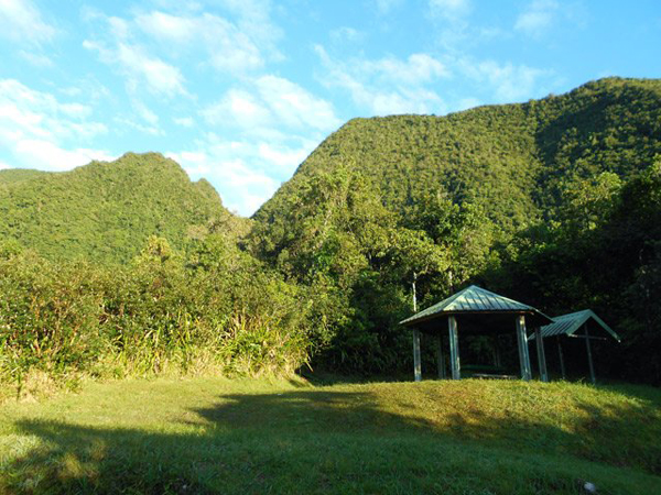 Piton Papangue   –   Grand Fond – Aire de pique-nique