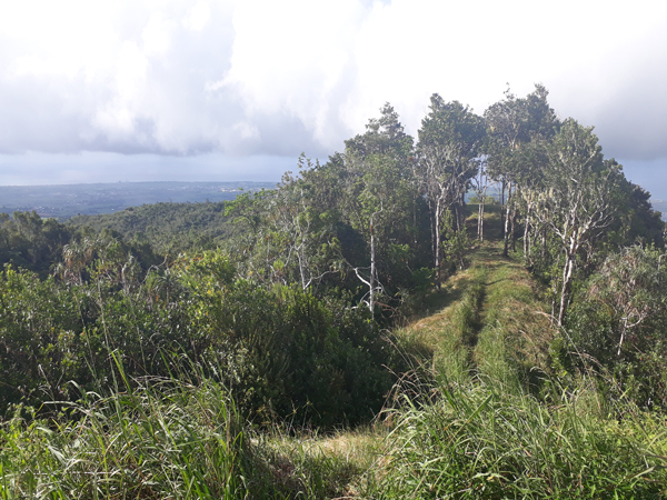 Route forestière de l’Eden – Aire de pique-nique