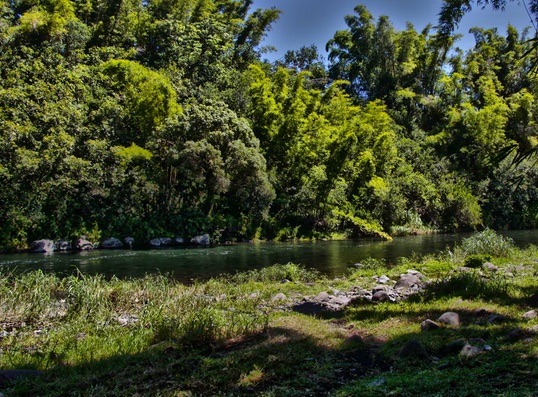 Bassin Mangue