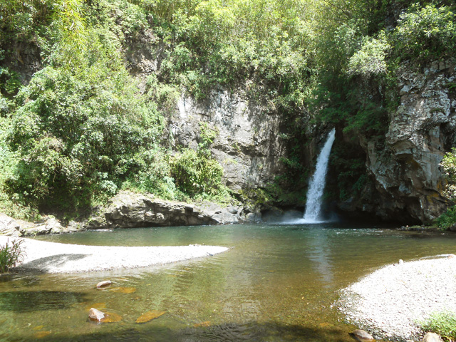 Bassin Pichon