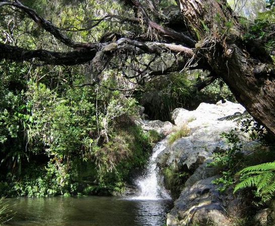 Sentier Mère Canal