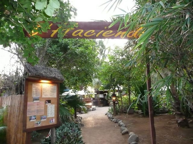 Coco beach (Le)