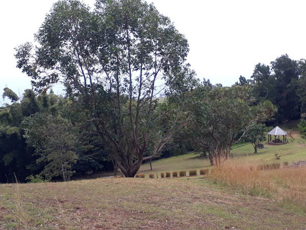 Domaine Fleurié – Aire de pique-nique