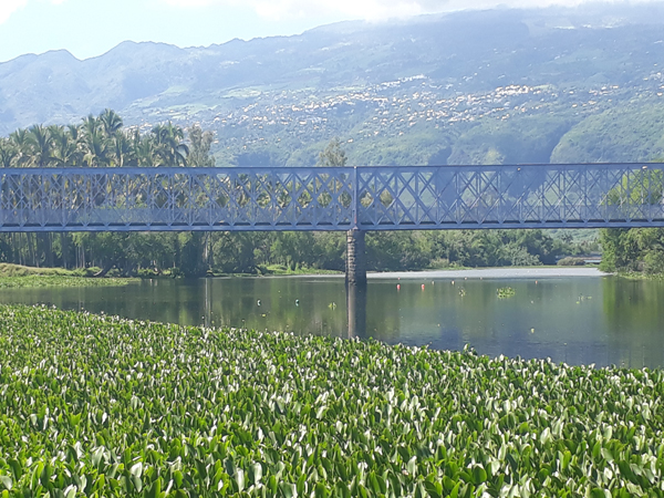 Etang St – Paul – Aire de pique-nique