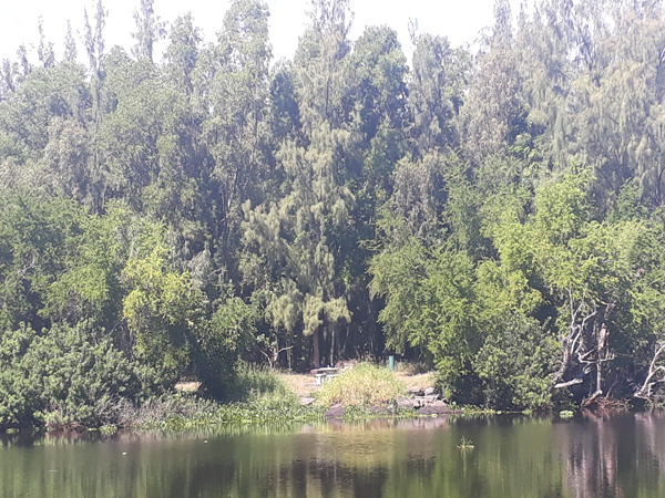 Etang St – Paul – Aire de pique-nique