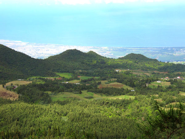 Forêt des Makes – Aire de pique-nique