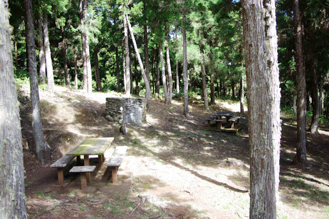 Le Brûlé   –   Mamode camp  – Aire de pique-nique