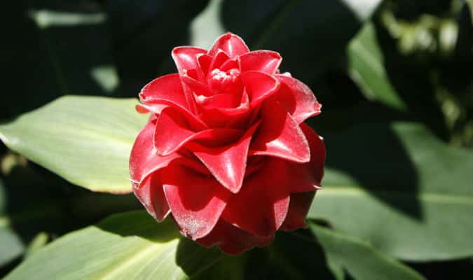 Le Jardin des Parfums et des Epices