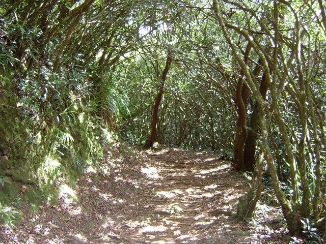 Le circuit des Ravenales à Chemin de Ceinture