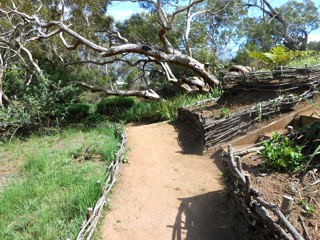 Le circuit pédestre de la Tamarinaie de la Ravine Blanche