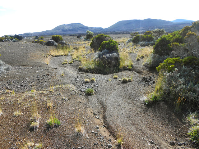 Le tour de la Plaine des Sables au plus plat en hors sentier près du rempart