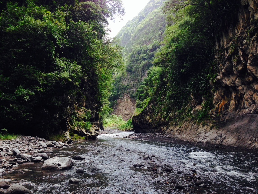 Les Gorges du Bras de la Plaine par le Dassy