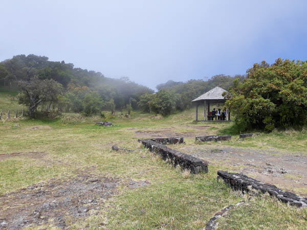 Nez de Bœuf – Route forestière Volcan – Aire de pique-nique