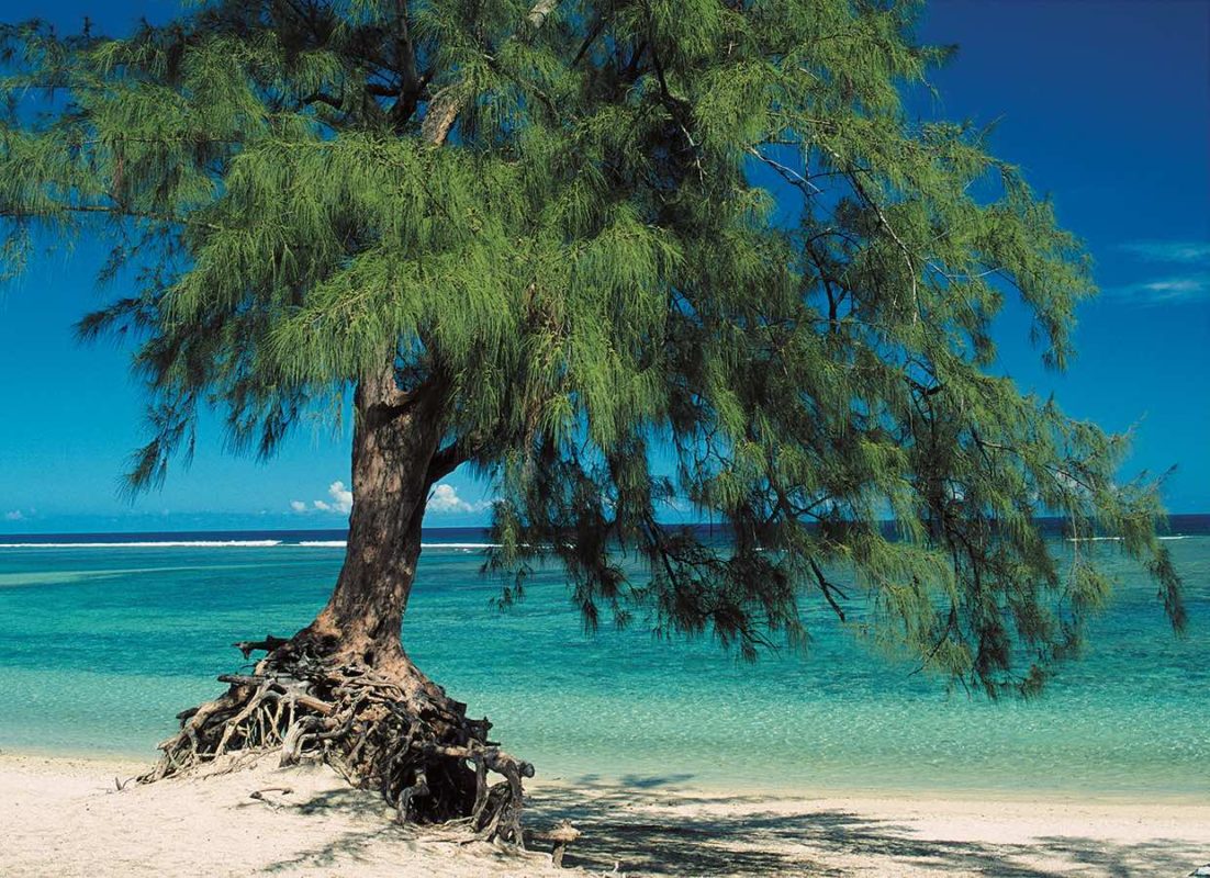La Réunion : nature et culture