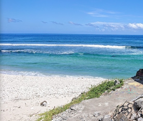 Plage de la souris chaude