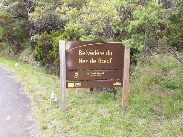 Plateau du Nez de Bœuf   –   Route forestière Volcan – Aire de pique-nique