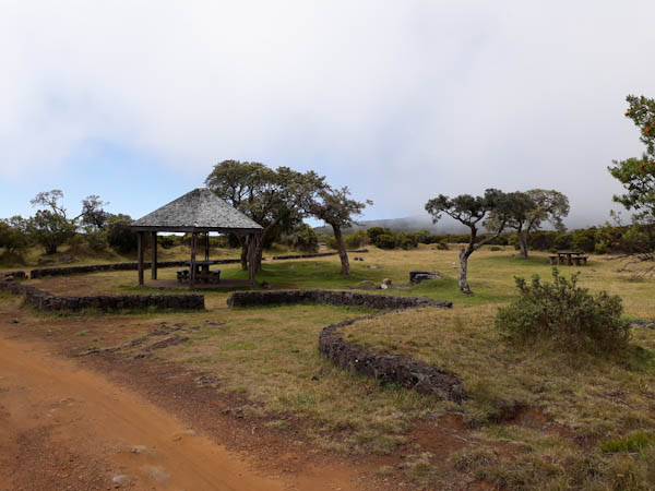 Plateau du Nez de Bœuf   –   Route forestière Volcan – Aire de pique-nique