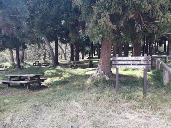 Route forestière de Timour – Aire de pique-nique