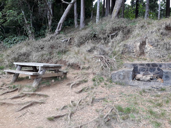 Route forestière des Cryptomérias – Aire de pique-nique