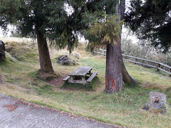Route forestière des Tamarins   –   Fond Persil – Aire de pique-nique