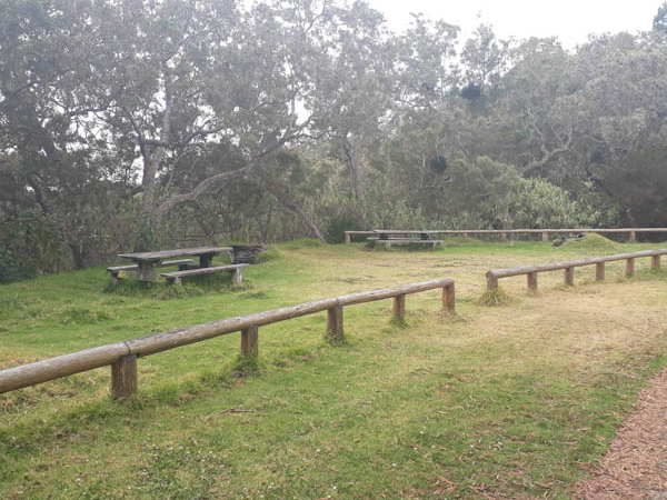 Route forestière des Tamarins   –   Ravine St – Aire de pique-nique