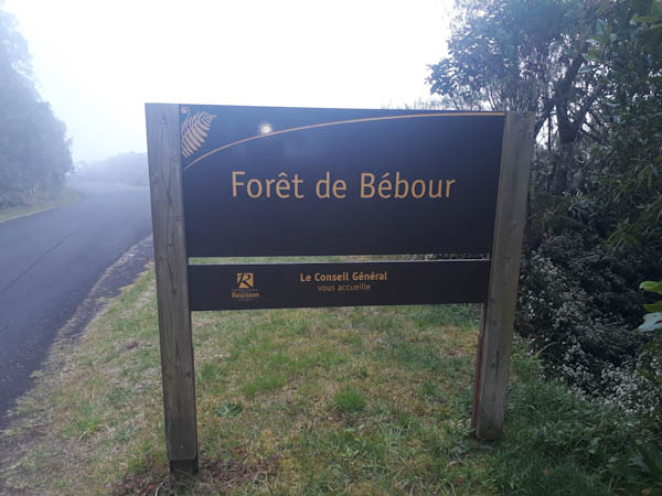 Route forestière du Col de Bébour – Aire de pique-nique