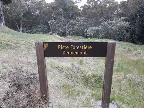 Route forestière du Maido – Aire de pique-nique