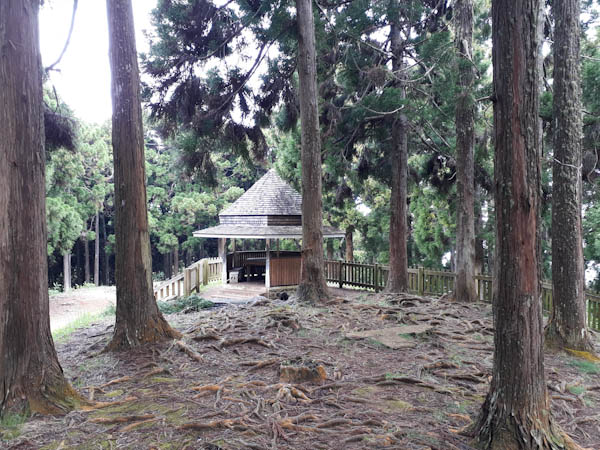Route forestière du Tévelave   –   Kiosque blanc – Aire de pique-nique