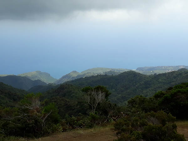 Route forestière d’Affouches – Aire de pique-nique