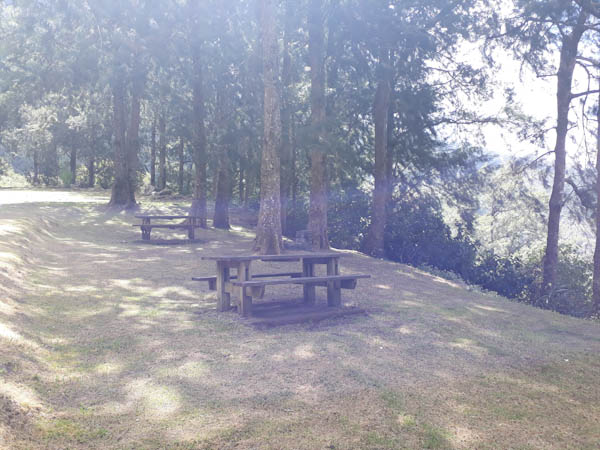 Salazie – Ravine Blanche – Aire de pique-nique