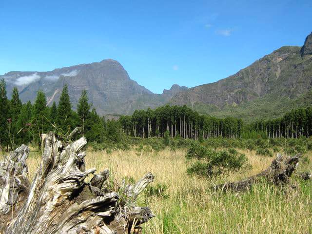 Le sentier des Sources à Bras Sec