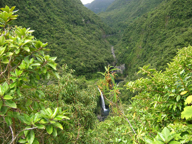 De Takamaka à la Forêt de Bébour par les échelles